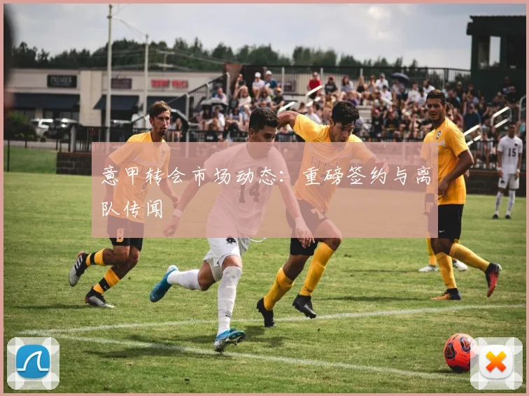 意甲转会市场动态:重磅签约与离队传闻