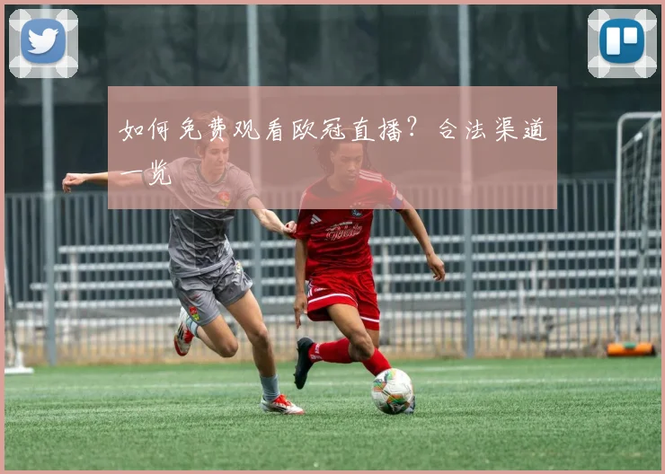 如何免费观看欧冠直播？合法渠道一览